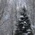 Donna Stettner's profile image