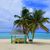 Debbie Saucedo's profile image