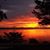 Peggy Jewell Holstine's profile image