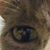 Donna Johnson's profile image
