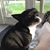 Beverly Hines's profile image