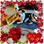 Alionka Be-Zu's profile image