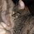 Melissa Bergler's profile image