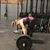 Laura Smith's profile image