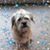 Linda Krause's profile image