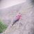 Jjuan Garcia's profile image