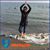 Carol Toomey's profile image
