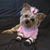 Marybeth-Chris Cook's profile image