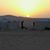 Atiya Rifawi's profile image