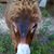 Earl Griffin's profile image