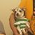 Jaime Cordero's profile image