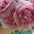 helendavies's profile image
