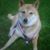 JoAnn Mackinshok Spilman's profile image