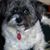 Esther Sternstein's profile image