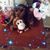Christine M Uribe's profile image