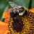 Candi Crusher's profile image