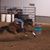 Tiffany Swafford's profile image