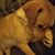 Jackie R Hutton's profile image
