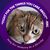 Sara Tansey's profile image