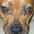 John Giammarco's profile image