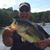 Mike Perreault's profile image