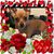 Kris Horton's profile image