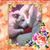 Scott Gustafson's profile image