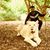 Gurpreet Khurana's profile image