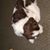 Kim Henderson's profile image
