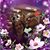 Roger Reed II's profile image