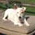 Maureen Donohue-Conway's profile image