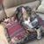 Peggy Rodriguez's profile image