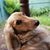 Ruth L. Smith's profile image