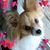 Teresa Henderson-Steitz's profile image