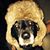 Daniel Gardner's profile image