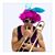 Bruce Salmon's profile image