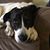 Paula Hidy's profile image