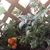 Marla Ochu's profile image
