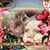 Jamie Lou Purser's profile image