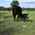 Brian L Tharp's profile image