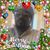 Bernard Jackson's profile image