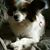 Jean Phillips-Walters's profile image