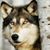Katrina Anselmo's profile image