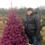 Nicole Severson's profile image