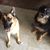 Tammy Bingaman's profile image