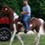 Shane Spriggs's profile image