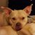 Stacy Katherine Wood's profile image