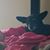 Jason Piller's profile image