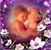 Robbi Russell's profile image