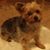 Billie Kelly-dillingham Manderick's profile image